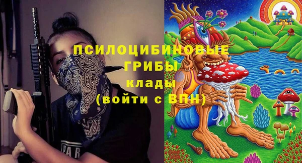 гидра Балахна
