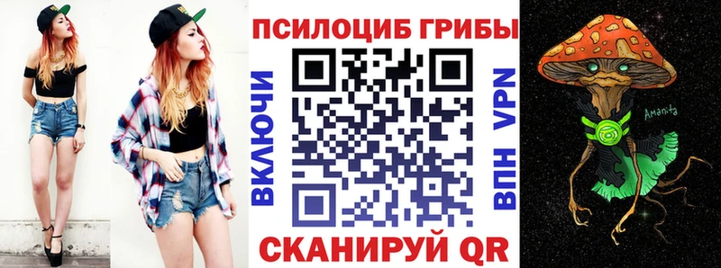 MEGA рабочий сайт закладки Никольское Галлюциногенные грибы Psilocybine cubensis